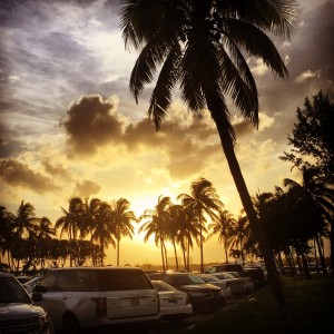 Miami Sunset       